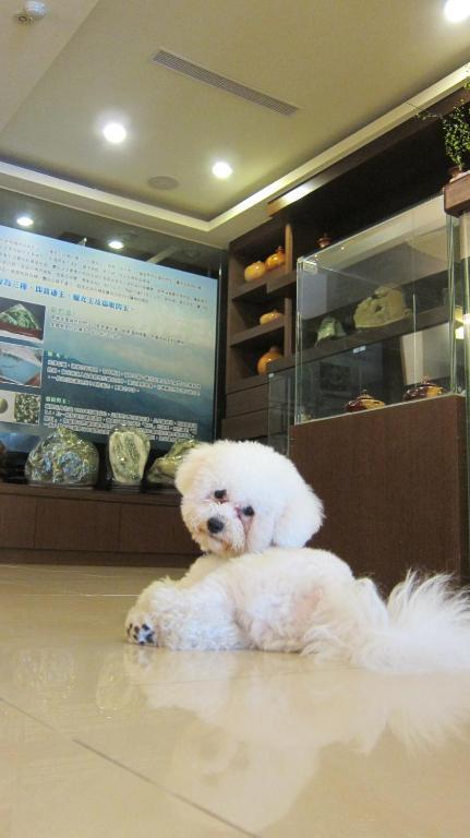 客至軒一館 Hualien stad Exteriör bild